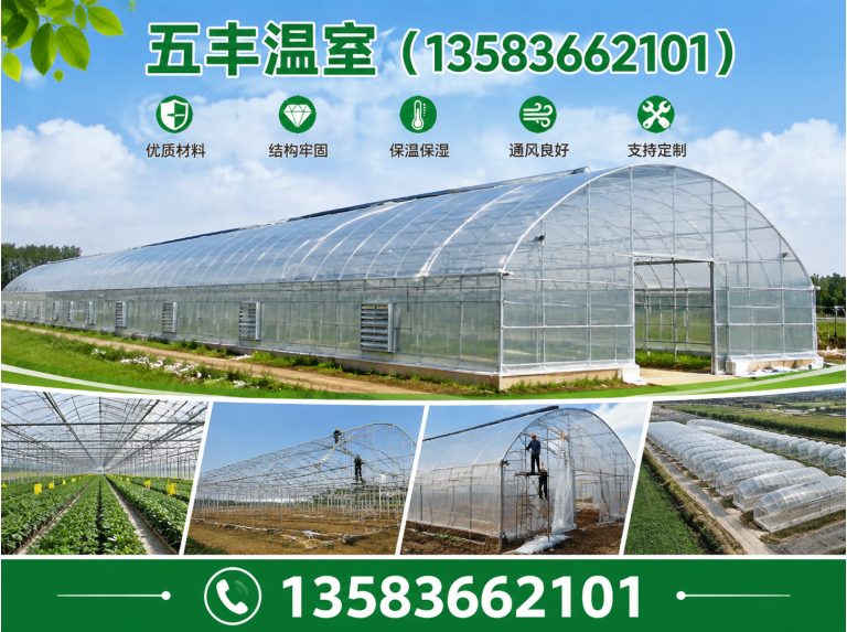 坊子区温室工程展示图